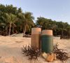 Strand mit einer großen braunen Alge. Im Hintergrund Palmen.