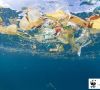 Kunststoff-Abfall der auf Wasseroberfläche schwimmt